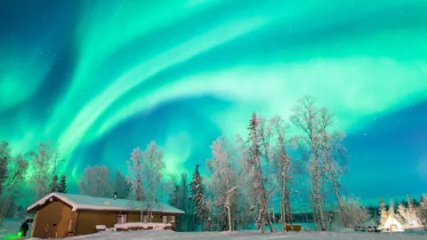 佛罗伦萨高价签约贝尔特兰、恩佐拉、克里斯滕森三位球员