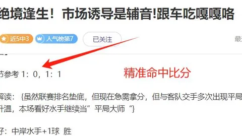 山东女篮战胜福建，率先夺得WCBA季后赛门票